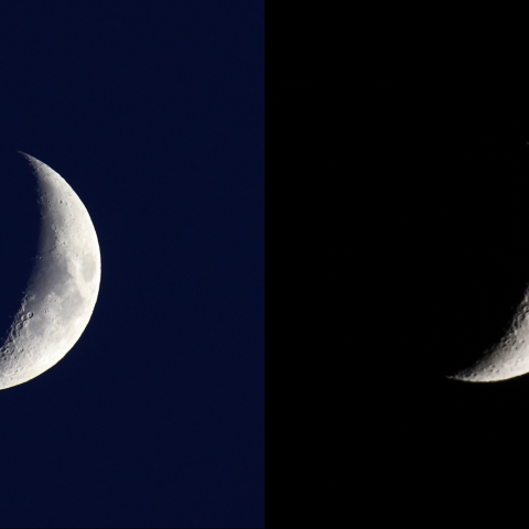 スピカ食（潜入，出現）