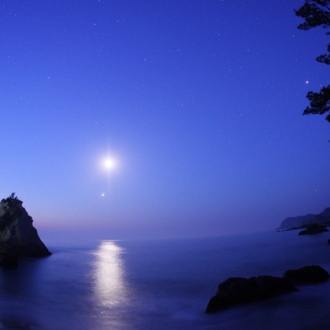 薄明に きら星 集う