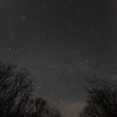 星流れる銀河の森【しし座流星群の日に】
