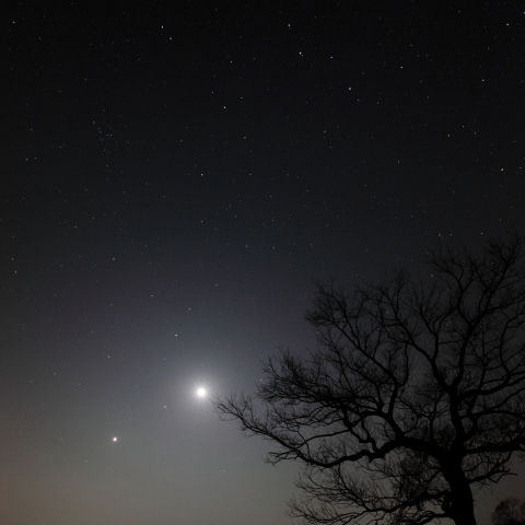 獅子、月と金星を引き連れて昇る