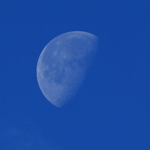 レグルス食：潜入4分前