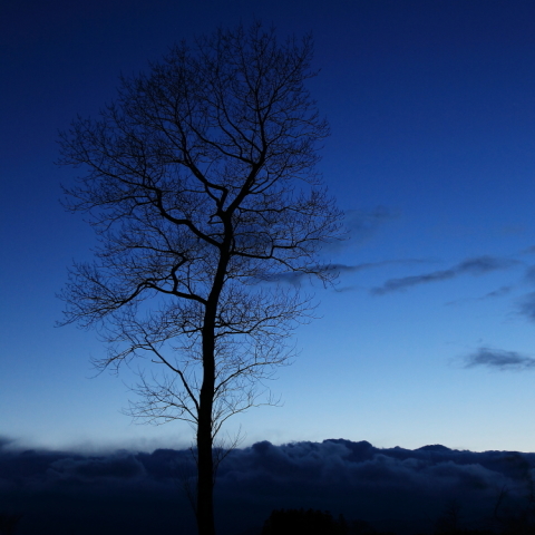 金星，木星のある夕景