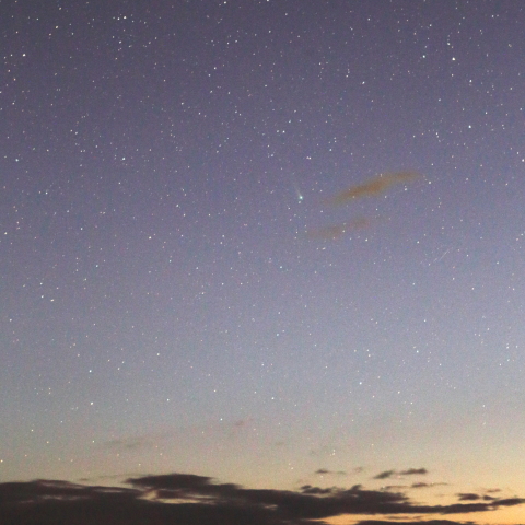 薄明のレナード彗星（12月11日）