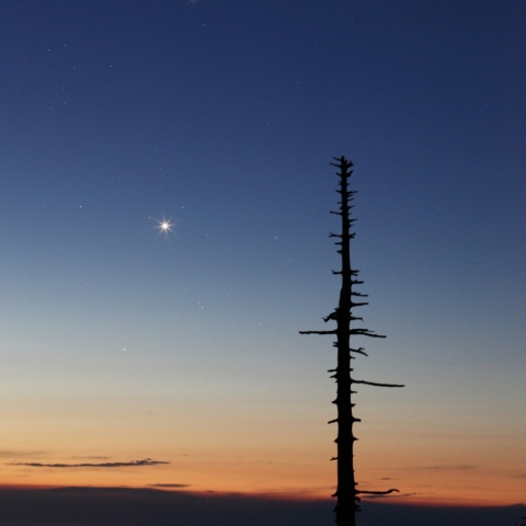 牡牛座で輝く金星，木星
