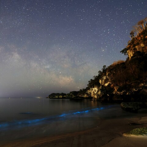 昇る天の川と夜光虫の浜にて