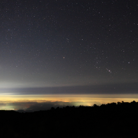 真夏のオリオン