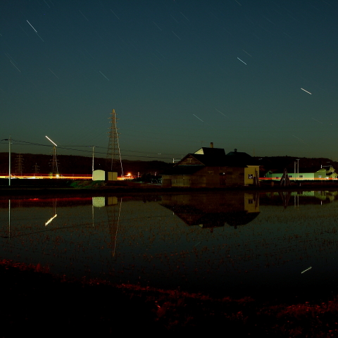 田んぼに映る金星
