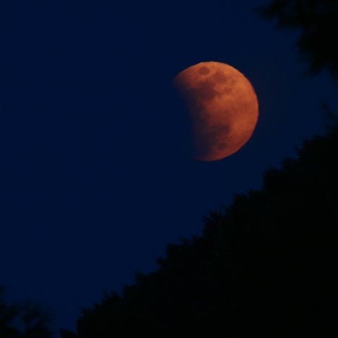 昇る部分月食