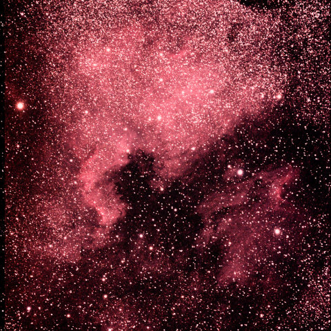 白鳥座・北アメリカ星雲