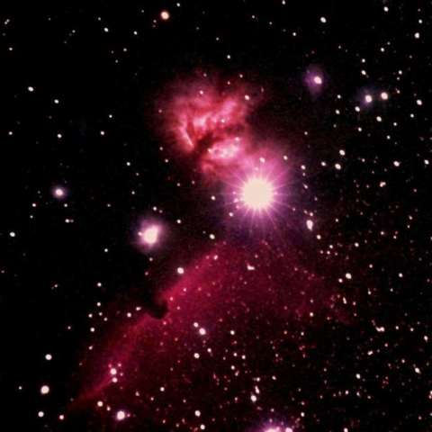 燃える木・馬頭星雲