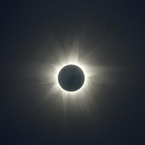 外部コロナの広がり