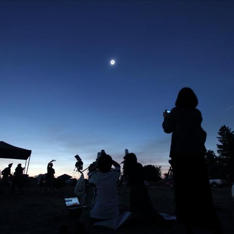 マドラス・2分間の闇