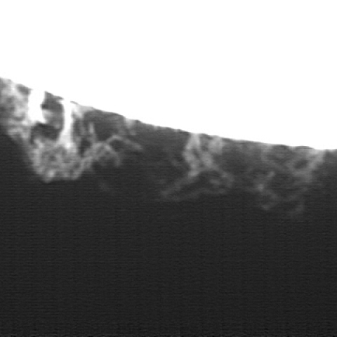 21-Aug-2013 PSTで見たプロミネンス