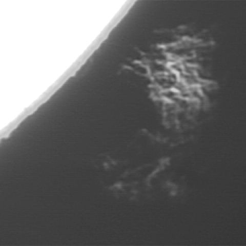 No2 14-Sep-2013 PSTで見たプロミネンス