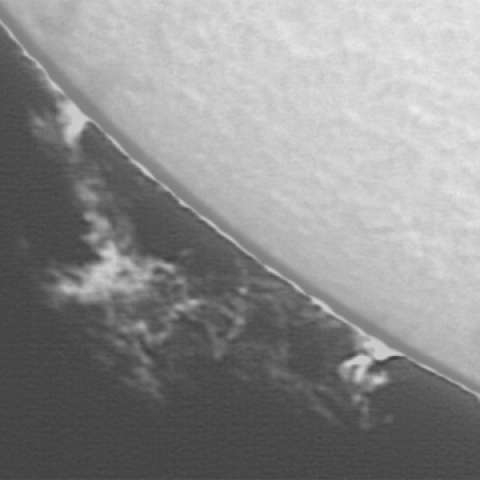 22-Sep-2013 PSTで見たプロミネンス