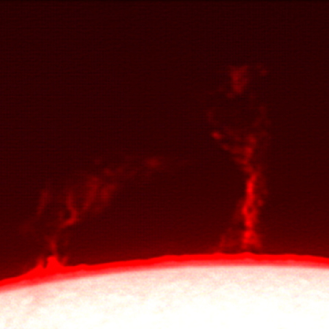 21-Dec-2013 PSTで見たプロミネンス