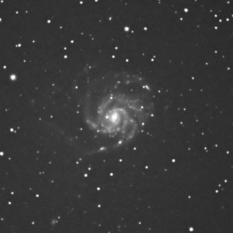M101