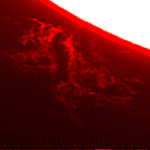 PSTで見たプロミネンス