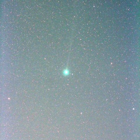 ラヴジョイ彗星 C/2014 Q2