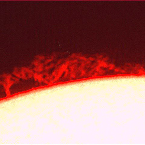 24-OCT-2015 PSTで見たプロミネンス