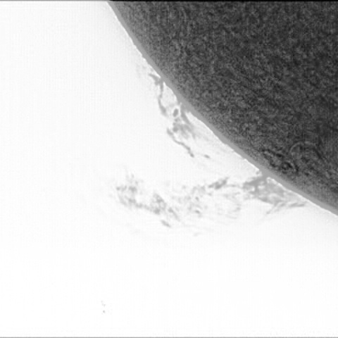 10/19のプロミネンス