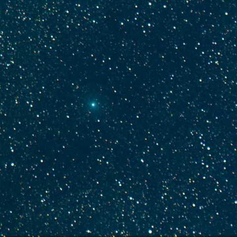 C/2009 K5 (McNaught)