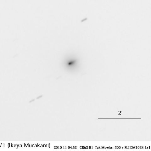 C/2010 V1 (池谷-村上彗星)