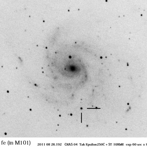 M101に出現した超新星2011 fe