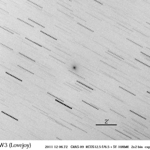 太陽に接近中のラブジョイ彗星(C/2011 W3)