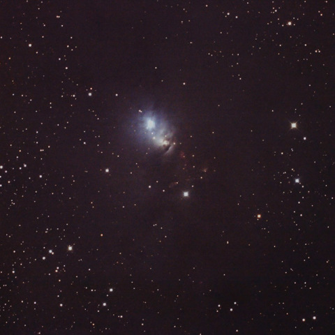 NGC1333
