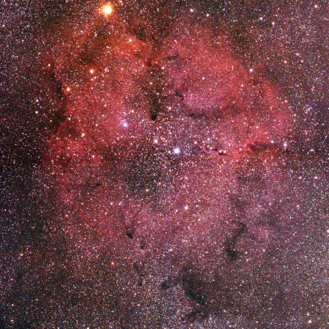 IC1396