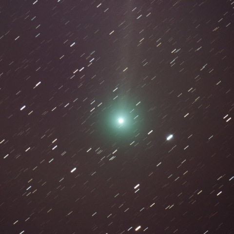 ラブジョイ彗星