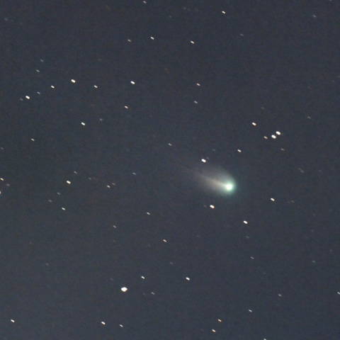 フィンレー彗星