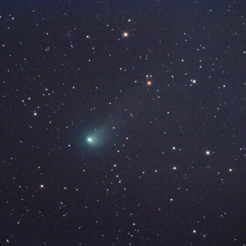 ジョンソン彗星