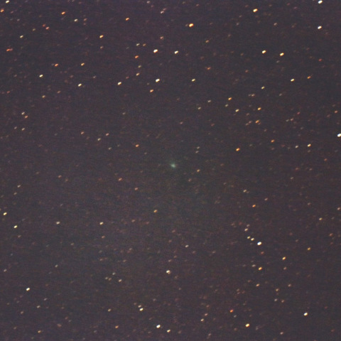 マックホルツ・藤川・岩本彗星