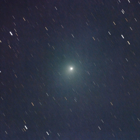 ウィルタネン彗星