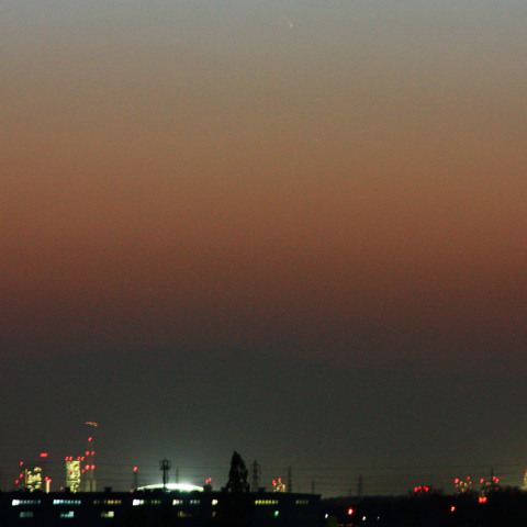 パンスターズ？