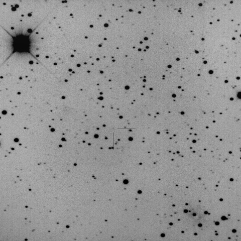 C/2023 T2 (Borisov)
