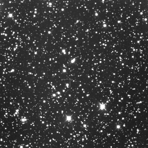 C/2021 S4 (Tsuchinshan)