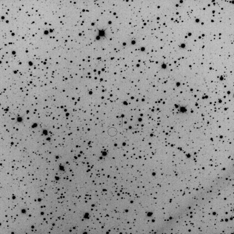 147P/Kushida-Muramatsu ?