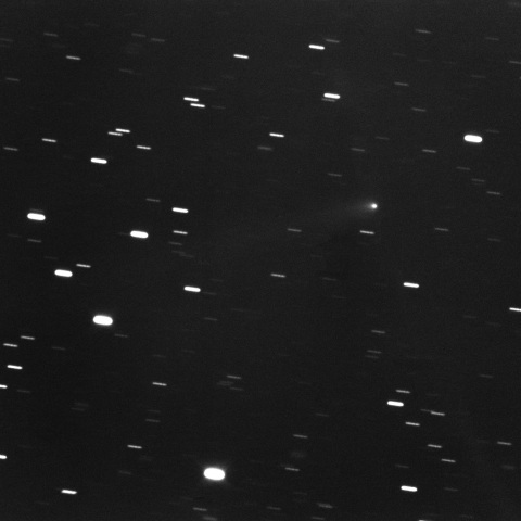 C/2021 X1 (Maury-Attard)