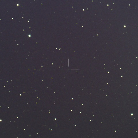 226P/Pigott-LINEAR-Kowalski