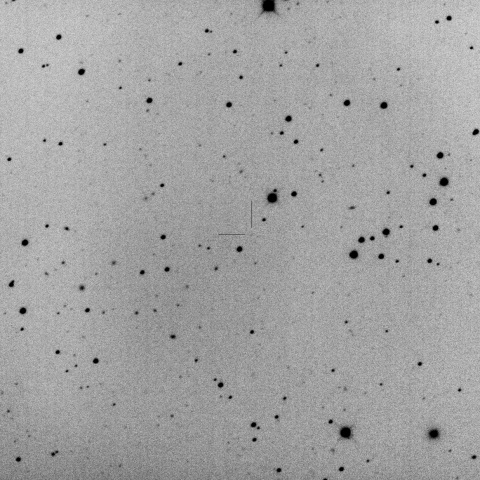 P/2002 T6 (NEAT-LINEAR)