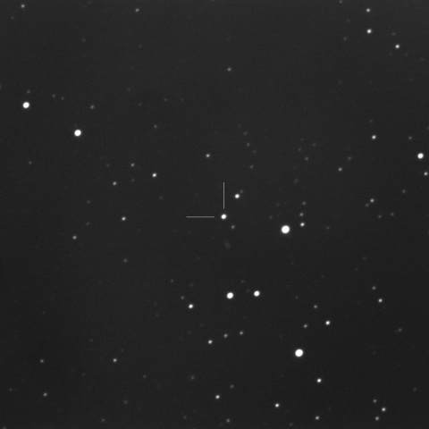 TCP J14242032-0341478=SN2023zvq