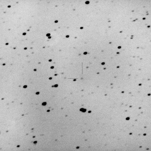 26P/Grigg-Skjellerup