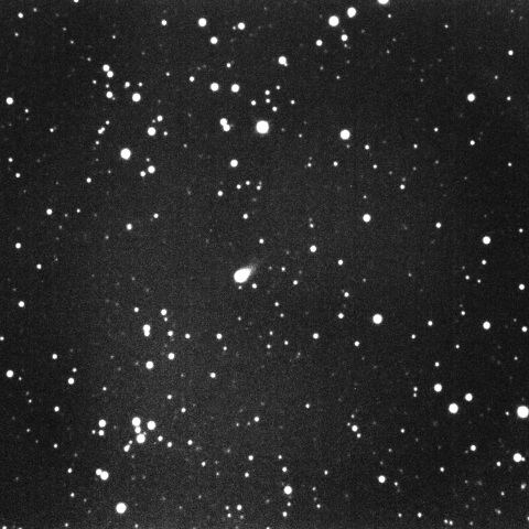 C/2023 A3 (Tsuchinshan-ATLAS)