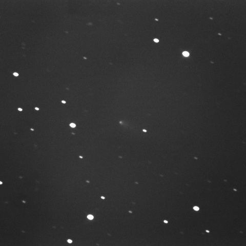 130P/McNaught-Hughes 