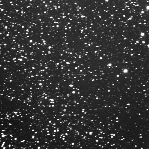 C/2022 U1 (Leonard)
