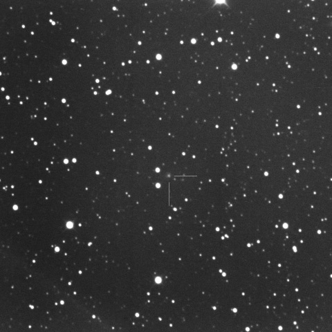 299P/Catalina-PanSTARRS