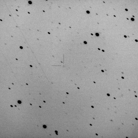 328P/LONEOS-Tucker